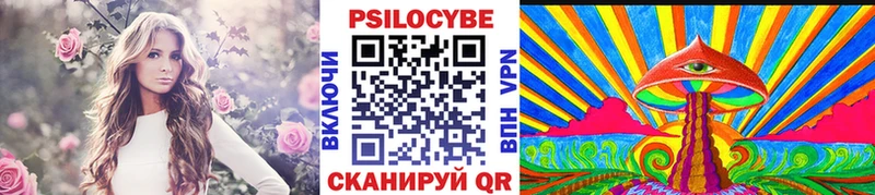 Псилоцибиновые грибы Cubensis  МЕГА как зайти  Сольцы 